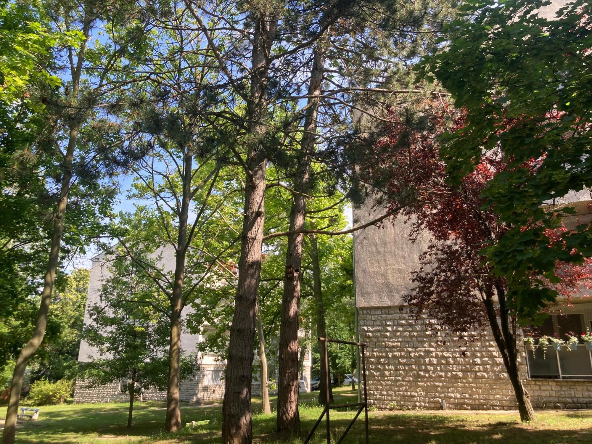 Oazis Apartman Veszprém Exterior foto
