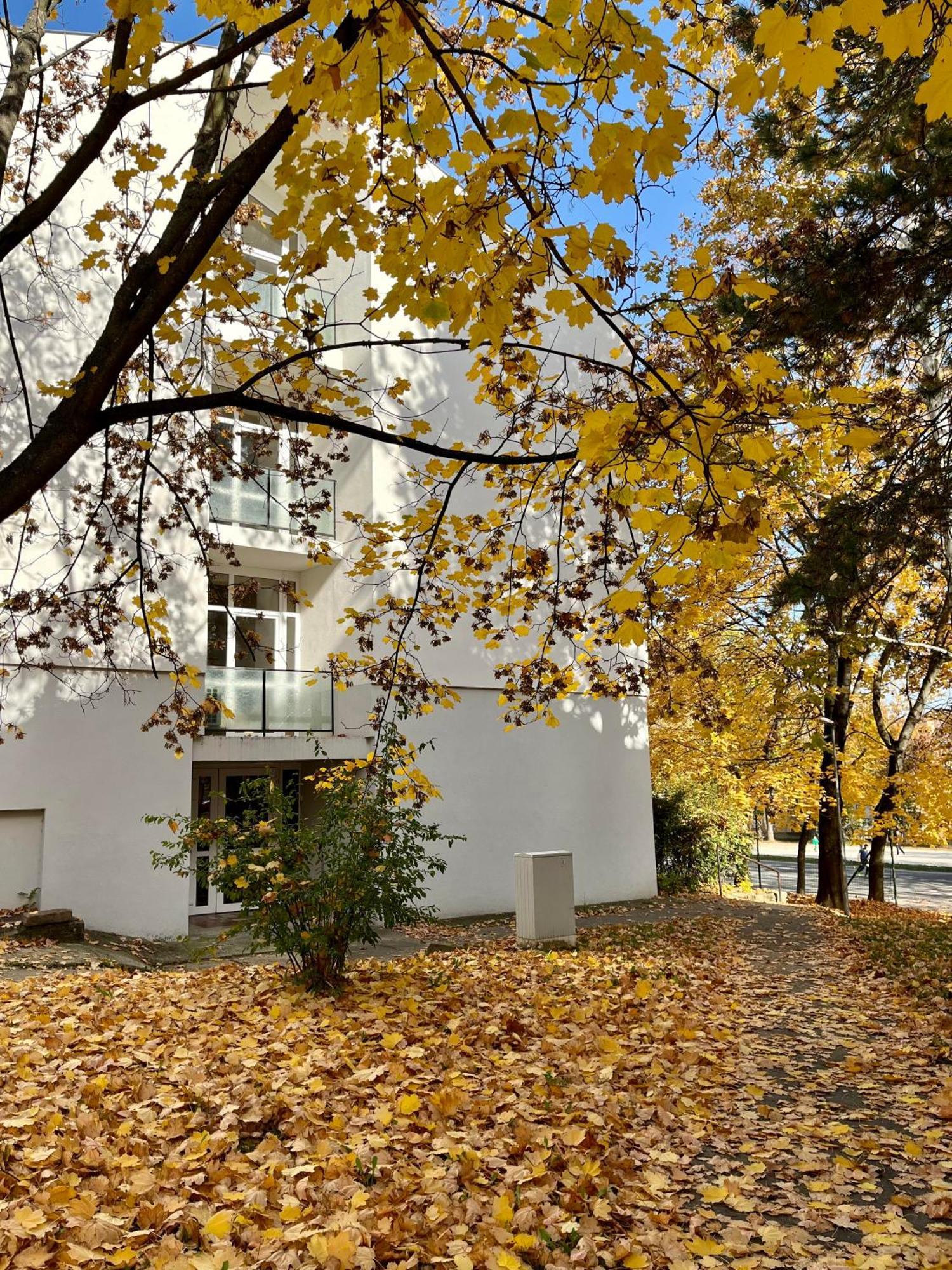 Oazis Apartman Veszprém Exterior foto